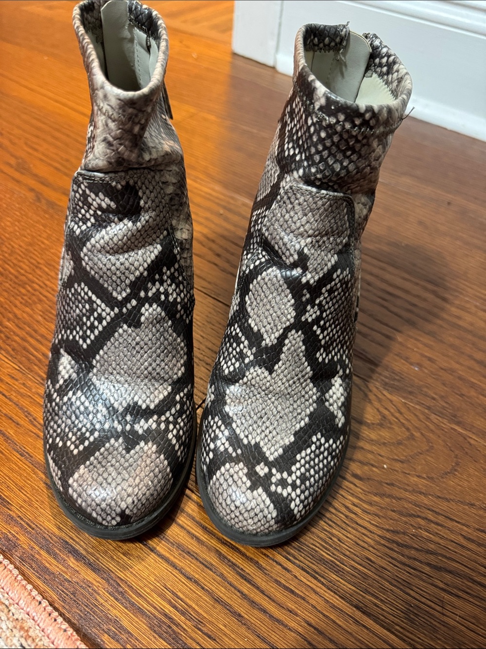 DV by Dolce Vita Snake-Print Ankle Boots in Black and Brown